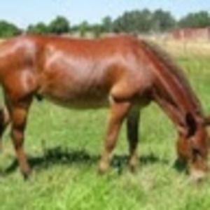 Meet your Posher, Darryl